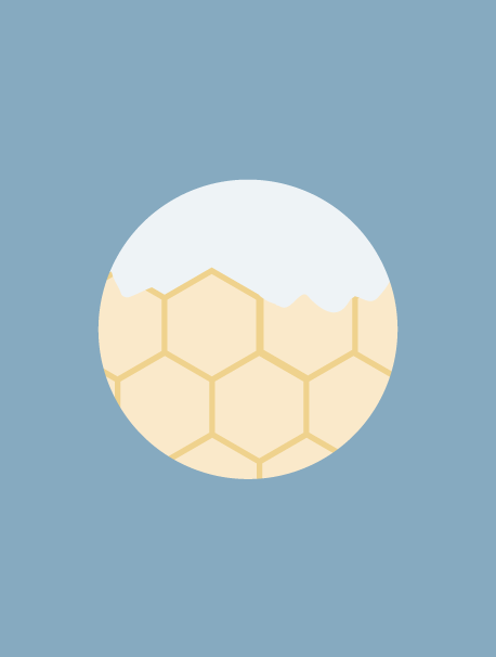 Professionelle Nestentfernung