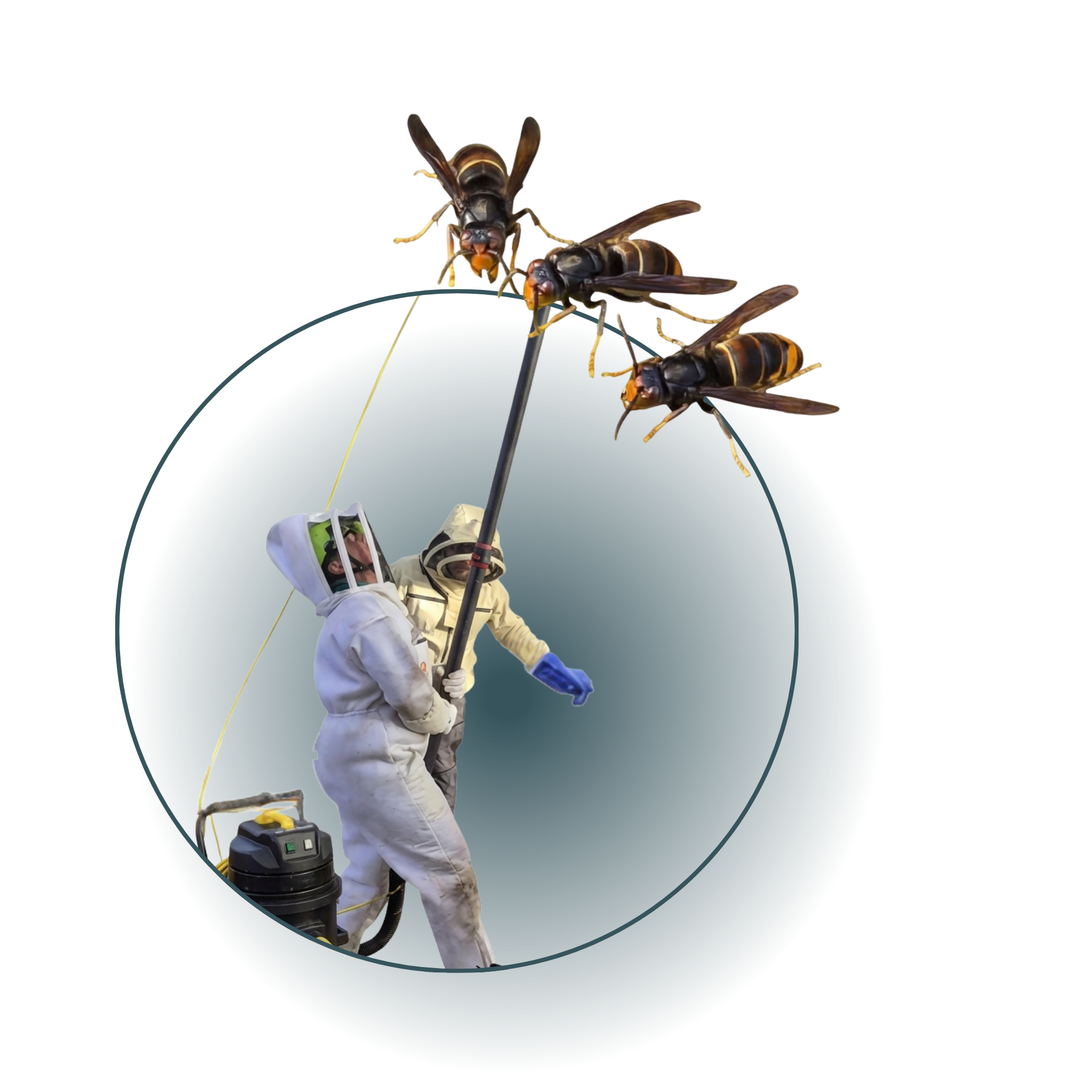 Stefan Nienhaus bei der professionellen Hornissenbekämpfung in Schutzausrüstung